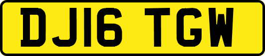 DJ16TGW