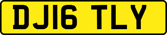 DJ16TLY