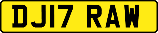 DJ17RAW