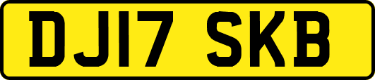 DJ17SKB