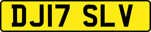 DJ17SLV