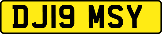 DJ19MSY