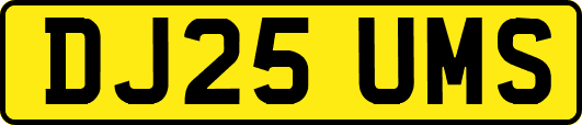 DJ25UMS