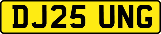 DJ25UNG