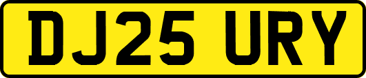 DJ25URY