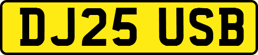 DJ25USB