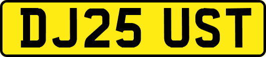 DJ25UST