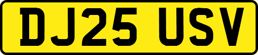 DJ25USV