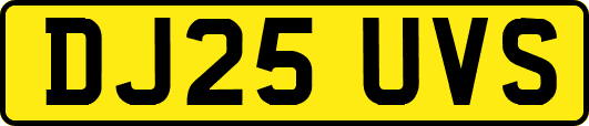 DJ25UVS