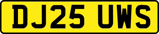 DJ25UWS