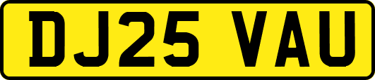 DJ25VAU