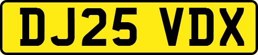 DJ25VDX
