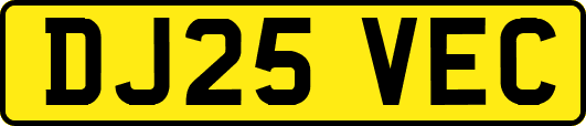 DJ25VEC