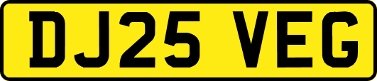 DJ25VEG