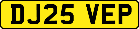 DJ25VEP