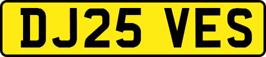 DJ25VES