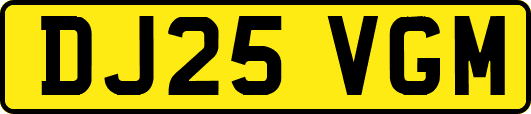 DJ25VGM