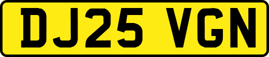 DJ25VGN