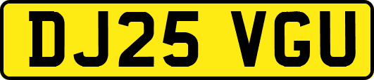 DJ25VGU