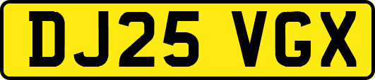 DJ25VGX
