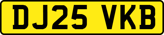 DJ25VKB