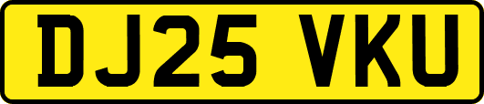 DJ25VKU