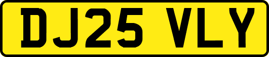 DJ25VLY