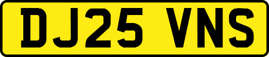 DJ25VNS