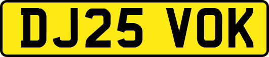 DJ25VOK