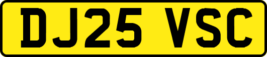 DJ25VSC