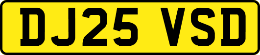 DJ25VSD