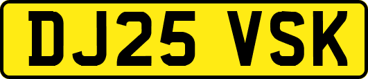 DJ25VSK