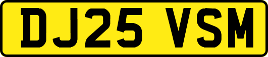DJ25VSM