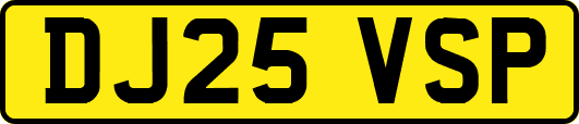 DJ25VSP