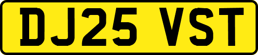 DJ25VST