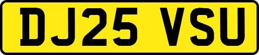 DJ25VSU