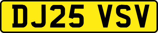DJ25VSV