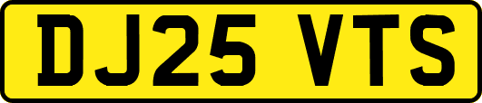 DJ25VTS