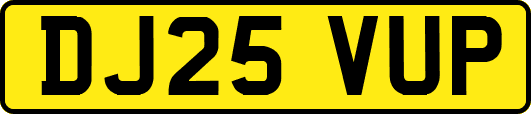 DJ25VUP