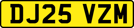 DJ25VZM
