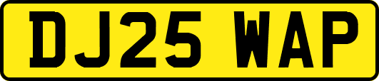 DJ25WAP