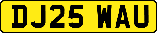 DJ25WAU