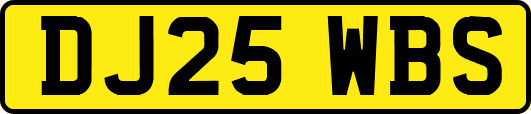 DJ25WBS