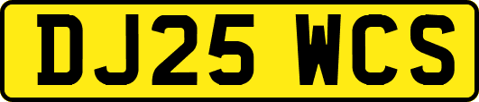 DJ25WCS