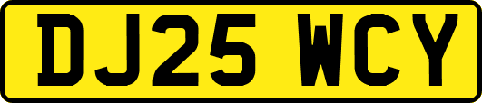 DJ25WCY