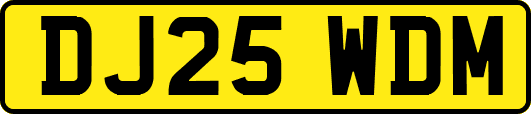 DJ25WDM