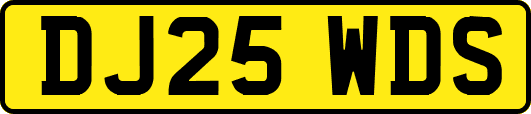 DJ25WDS