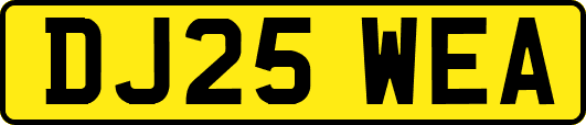 DJ25WEA