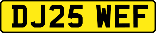 DJ25WEF