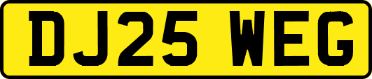 DJ25WEG